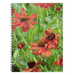 CUADERNO FLOR DE RUDBECKIA ROJA