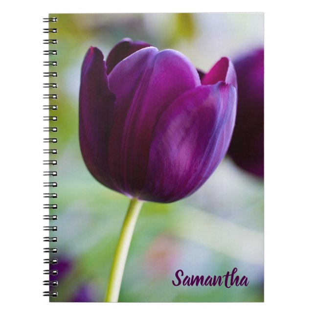 Cuaderno Flor de tulipán morado Portátil espiral (Frente)