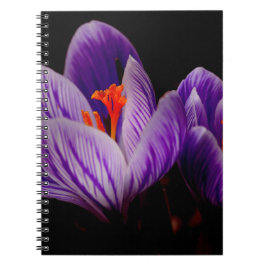 Cuaderno Flor de tulipán púrpura moderna