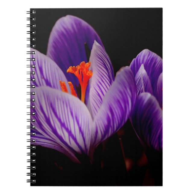 Cuaderno Flor de tulipán púrpura moderna (Frente)