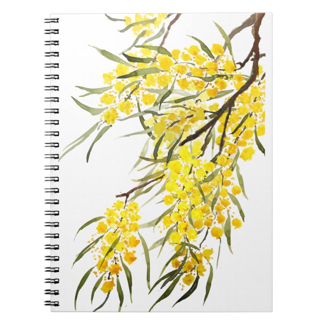 Cuaderno flor de wattle dorada acuarela (Frente)