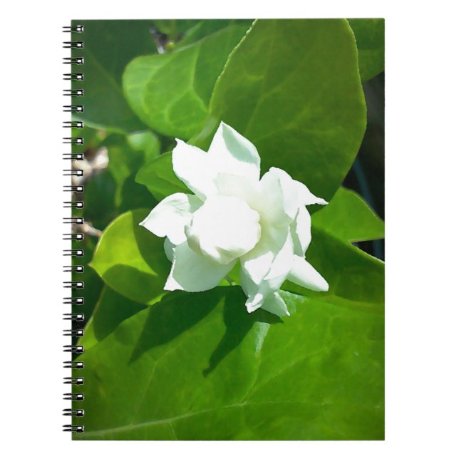Cuaderno Flor del jazmín de Sampaguita (Frente)