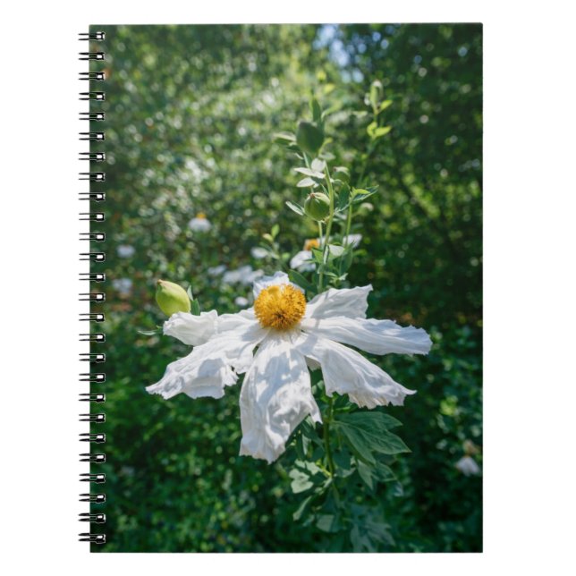 Cuaderno Flor delicada de luz forestal (Frente)