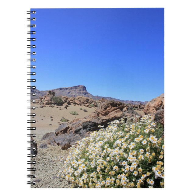 Cuaderno Flor desértica (Frente)