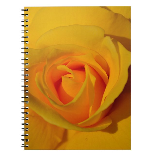 Cuaderno Flor floral elegante Rosa Amarilla (Frente)