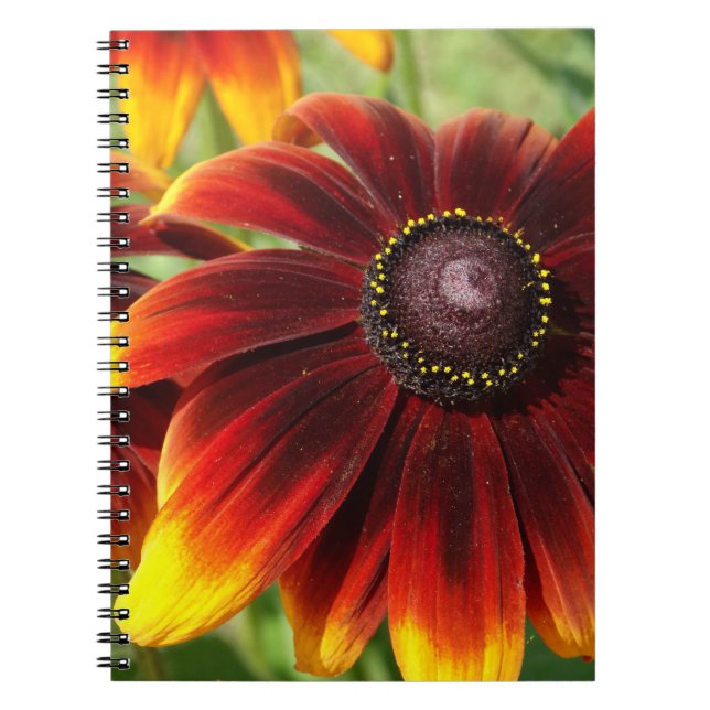 Cuaderno Flor Fotografía Marrón Amarillo Bloc de notas (Frente)