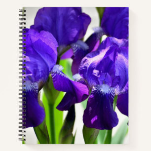 Cuaderno Flor iris de iris de iris morado