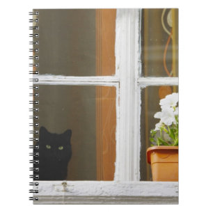 Cuaderno Flor junto a la ventana, Sighisoara, Rumania
