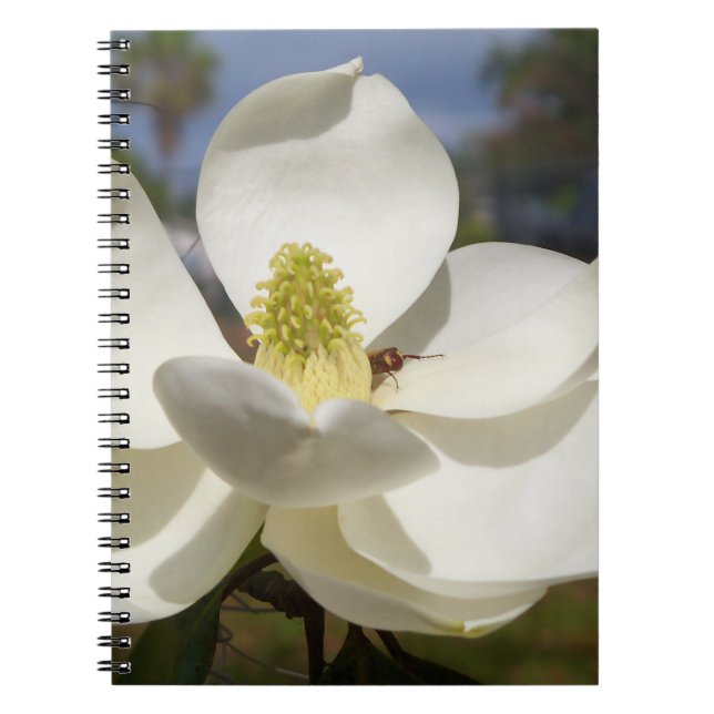 Cuaderno Flor magnolia blanca y abeja (Frente)