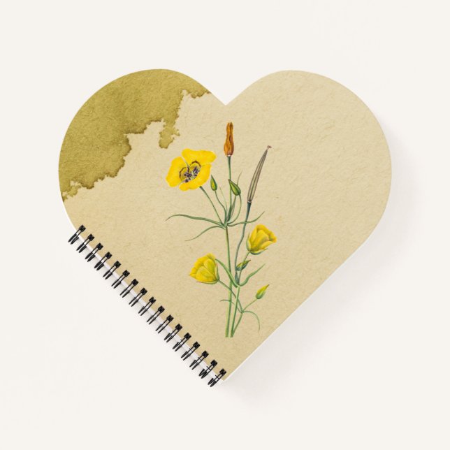 Cuaderno Flor Mariposa Golden Bowl (Anverso)