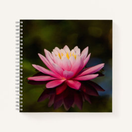 Cuaderno Flor matutina