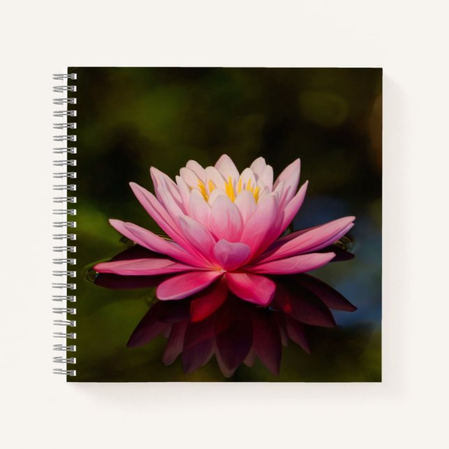 Cuaderno Flor matutina (Anverso)