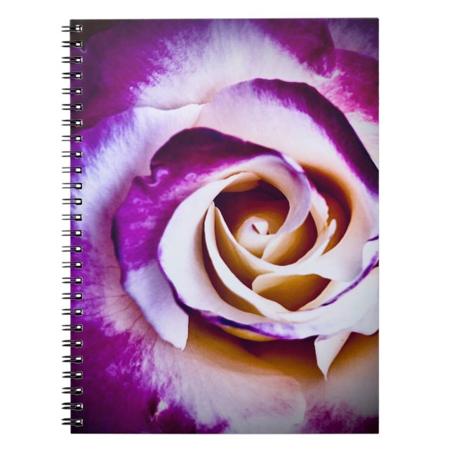 Cuaderno Flor morada (Frente)