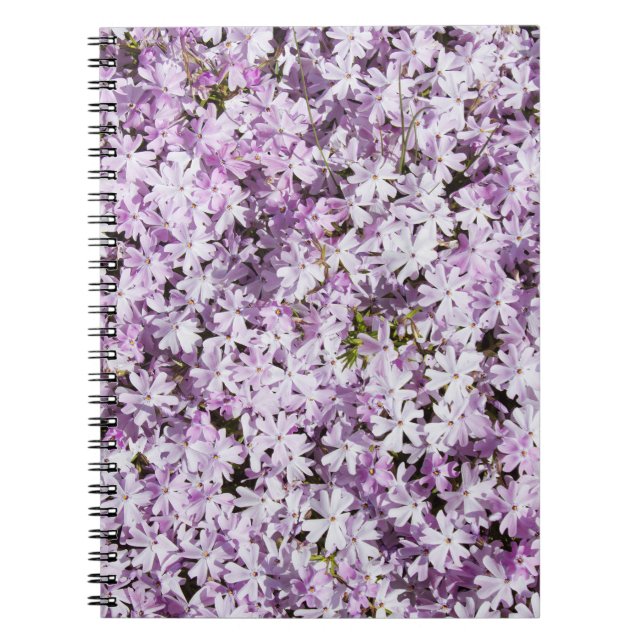 Cuaderno Flor morada, fondo de frescura de verano. (Frente)