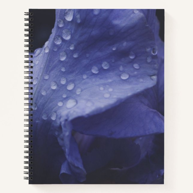 Cuaderno Flor morada Rosa (Anverso)
