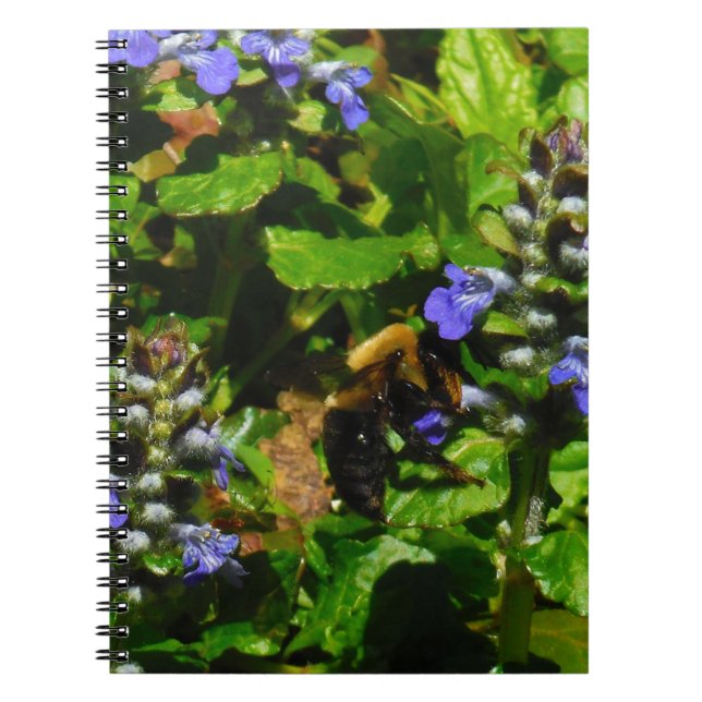 Cuaderno Flor morada y abeja burbuja (Frente)