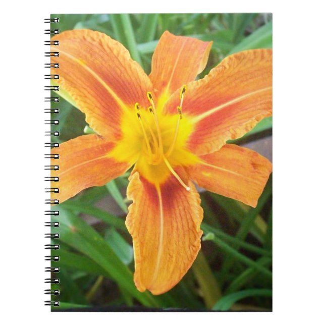 Cuaderno Flor naranja (Frente)
