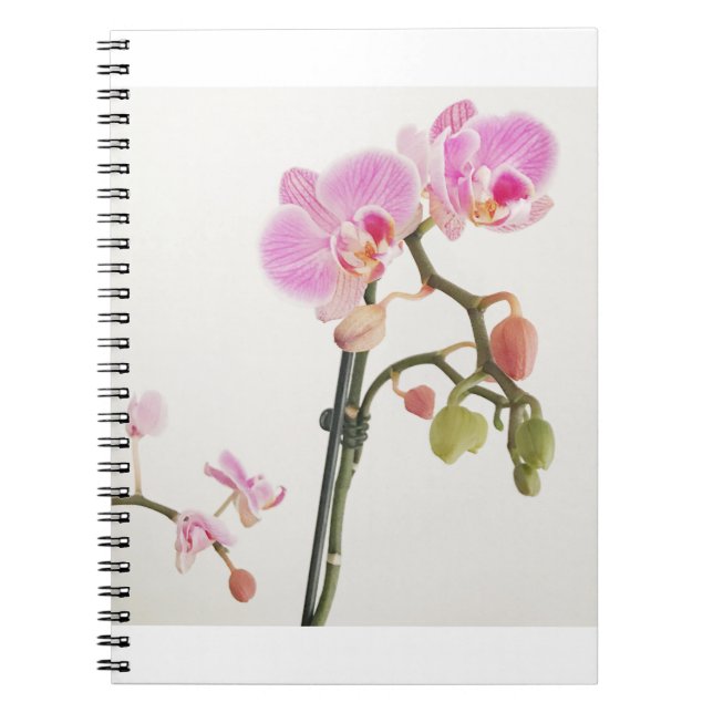 Cuaderno Flor orquídea (Frente)