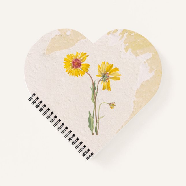 Cuaderno Flor perenne de Gaillardia (Anverso)