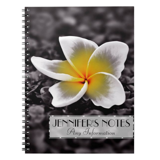 Cuaderno Flor Plumeria Frangipani Hawaii (Frente)