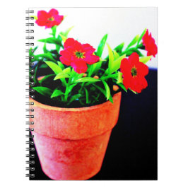 Cuaderno Flor Pot