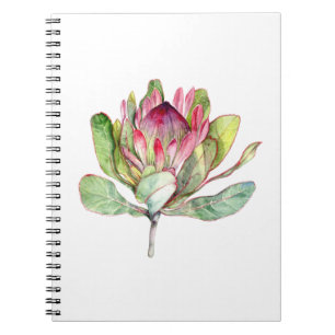 Cuaderno Flor Protea