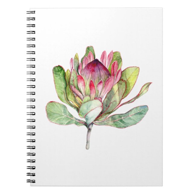 Cuaderno Flor Protea (Frente)
