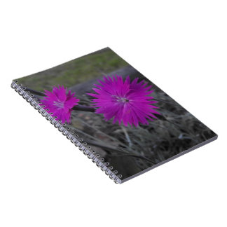 Cuaderno flor púrpura