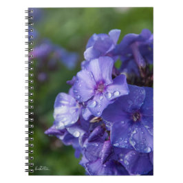 Cuaderno flor púrpura con el rocío de la mañana