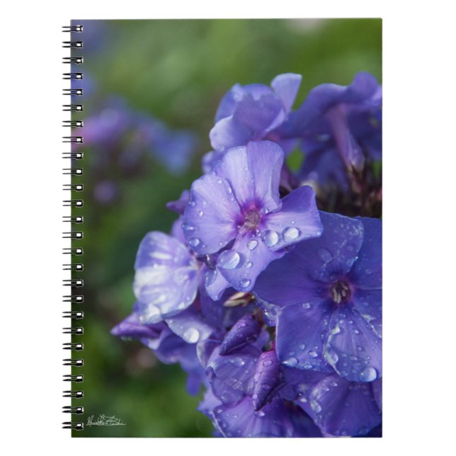 Cuaderno flor púrpura con el rocío de la mañana (Frente)
