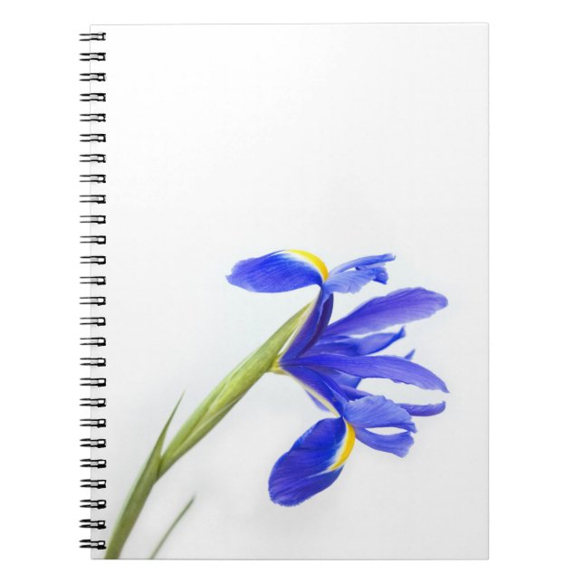 Cuaderno Flor púrpura del iris (Frente)
