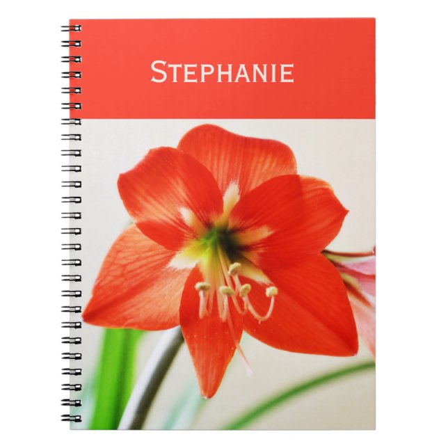 Cuaderno Flor roja amarillis (Frente)