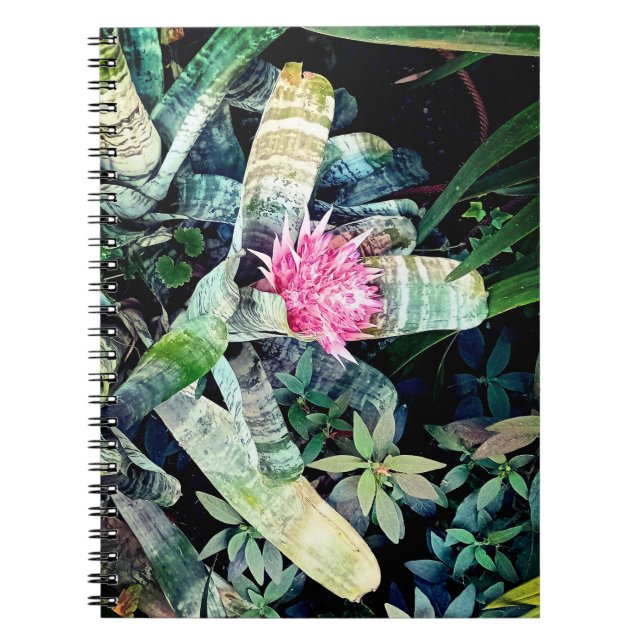 Cuaderno Flor rosa (Frente)