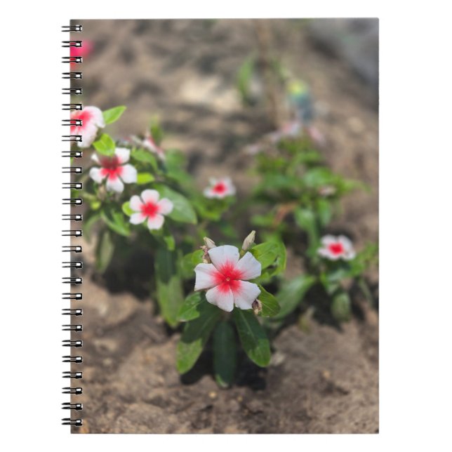 Cuaderno flor rosa blanca (Frente)