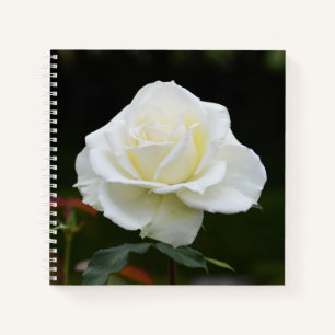 Cuaderno Flor rosa blanca