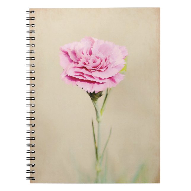 Cuaderno Flor rosa de clavel del jardín de Alemania (Frente)
