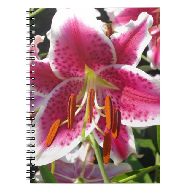 Cuaderno Flor rosa de lirio rosa rosa flor rosa (Frente)