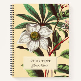 Cuaderno Flor Rosa de Navidades botánicos de época