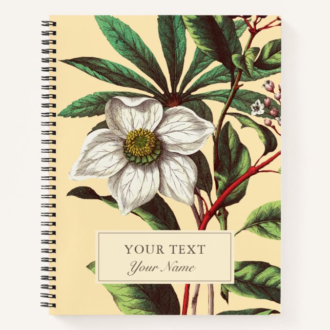 Cuaderno Flor Rosa de Navidades botánicos de época (Anverso)
