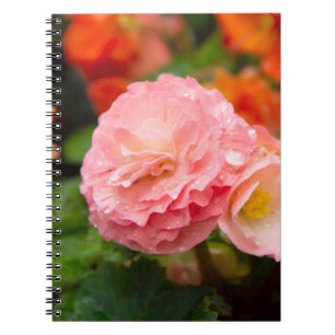 Cuaderno Flor rosa delgada después de la lluvia
