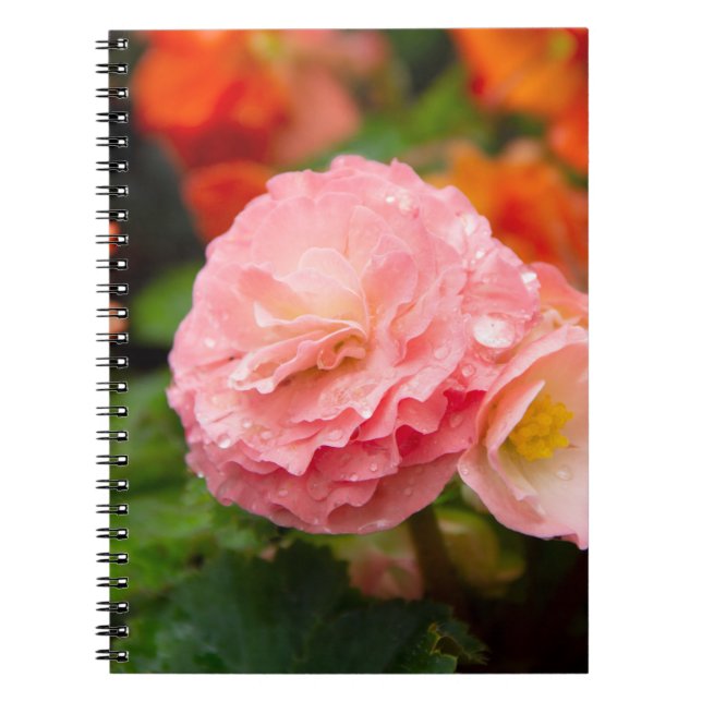 Cuaderno Flor rosa delgada después de la lluvia (Frente)