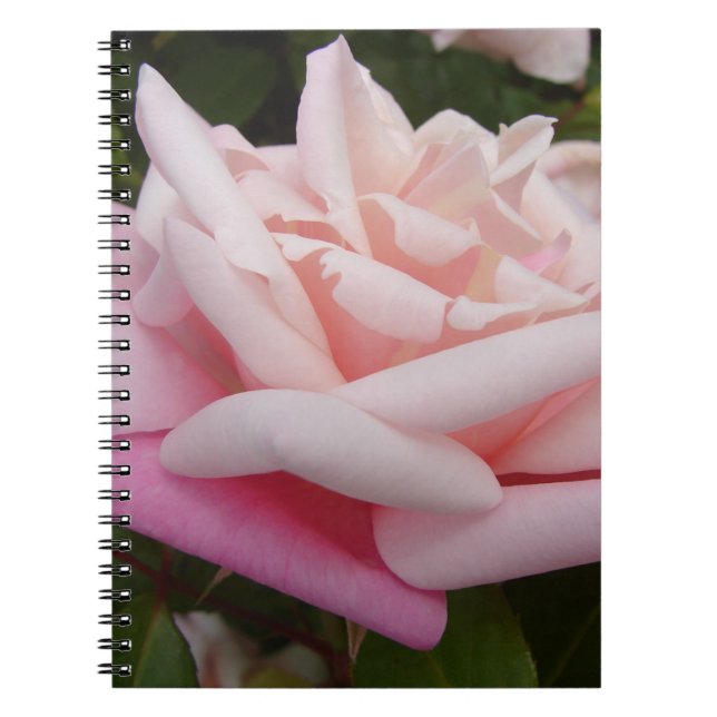 Cuaderno Flor rosa Hermosa Jardín Floral Jardín (Frente)