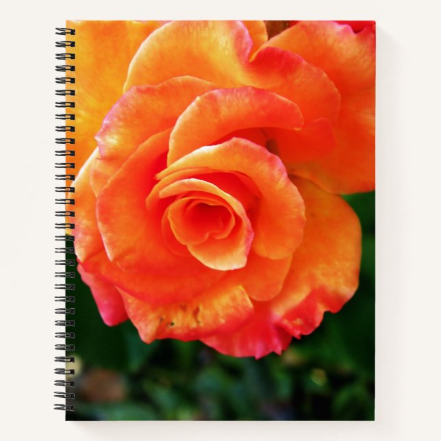 Cuaderno flor rosa naranja (Anverso)