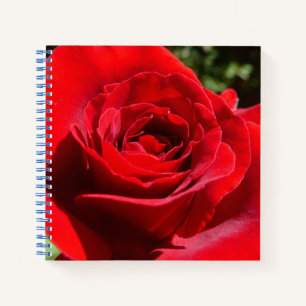 Cuaderno Flor rosa roja brillante hermosa flor