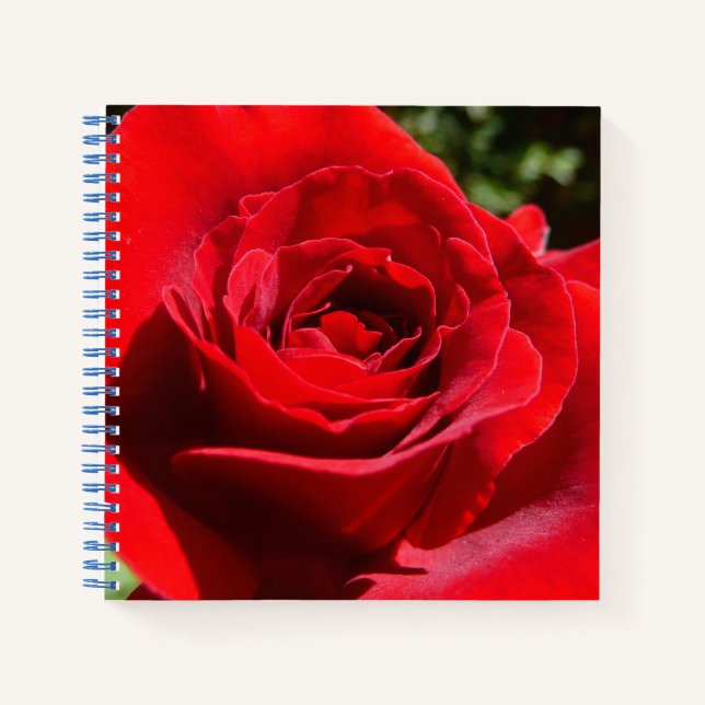 Cuaderno Flor rosa roja brillante hermosa flor (Anverso)