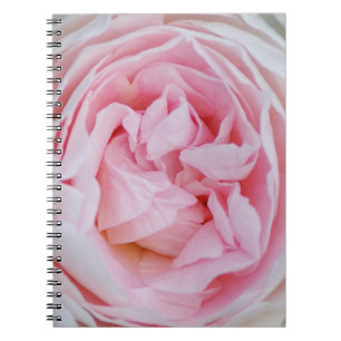 Cuaderno Flor rosa rosa de flores rosadas de pepitas rosada