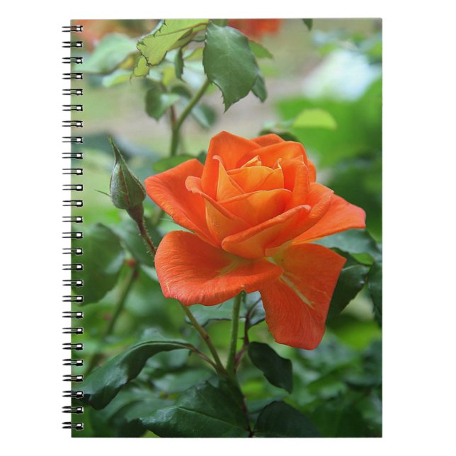 Cuaderno Flor rosa rosada natural (Frente)