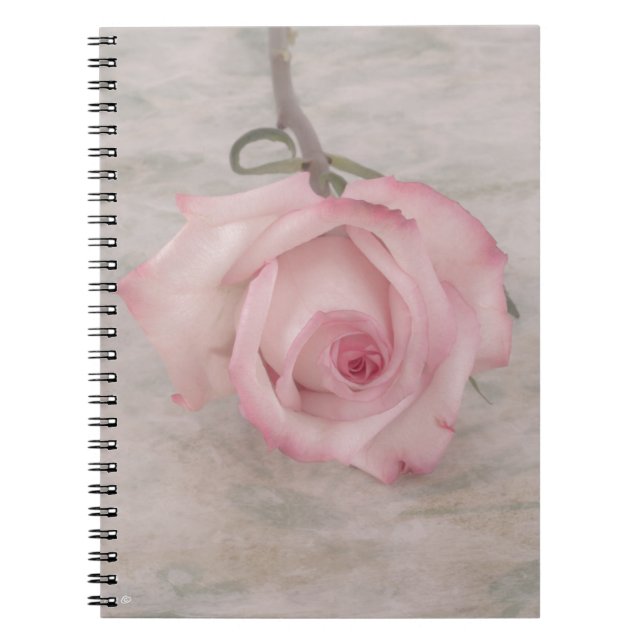 Cuaderno Flor rosa suave (Frente)