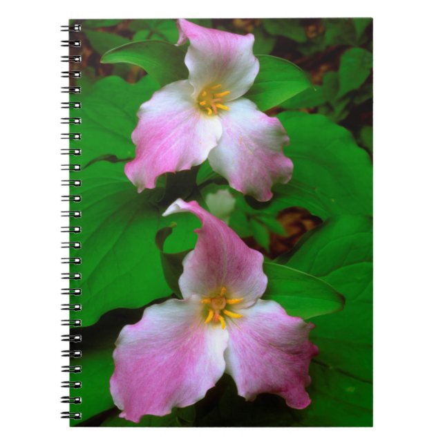 Cuaderno Flor silvestre trillium (Frente)