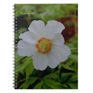 Cuaderno Flor simple de peones blancos